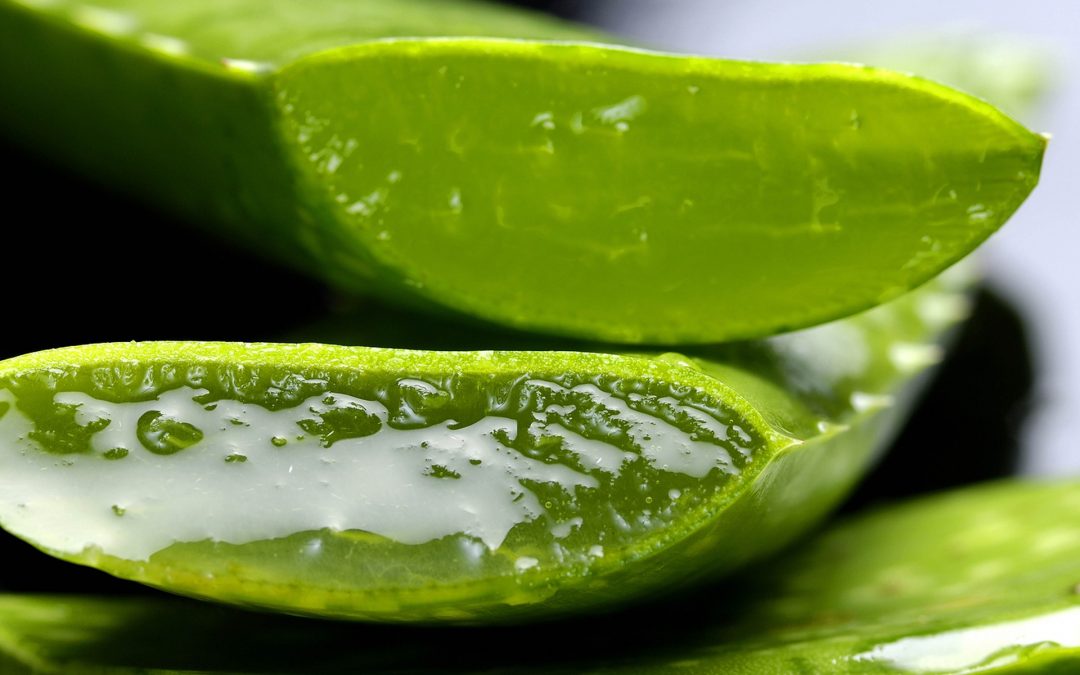 aloe vera benefits